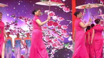 歌女红牡丹在线观看,歌坛传奇，在线重温经典旋律  第3张