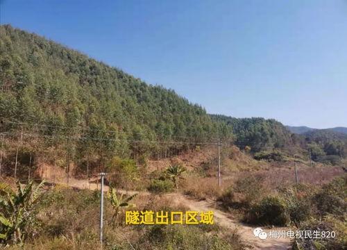 梅州民生820最新爆料  第2张